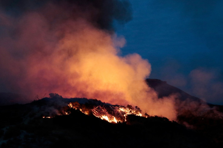 Los Angeles wildfire