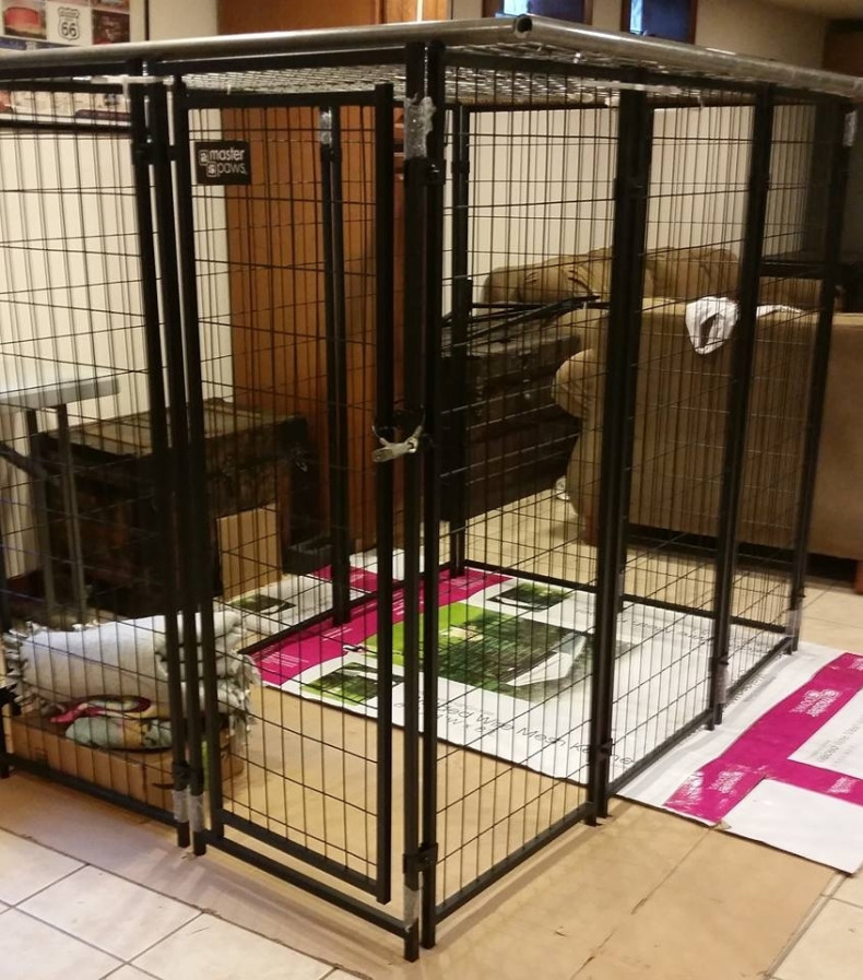 Granddaughter dog kennel cage