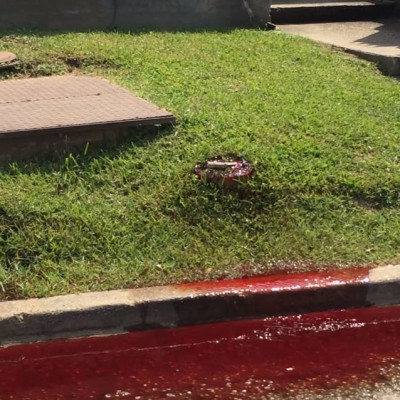 Funeral home leaks blood onto street