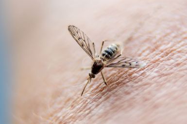 NASA to help with malaria forecast