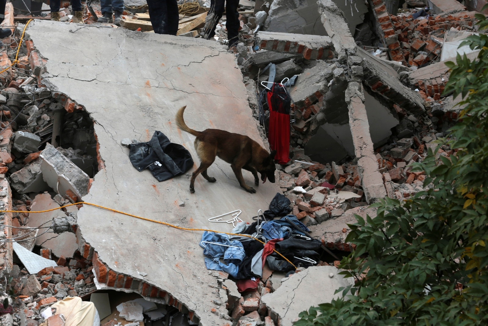 Mexico City earthquake terremoto CDMX sismo