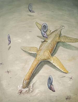Jurassic sea monster - Arminisaurus schuberti