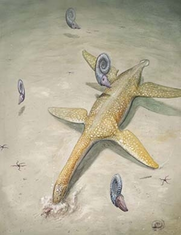Jurassic sea monster - Arminisaurus schuberti