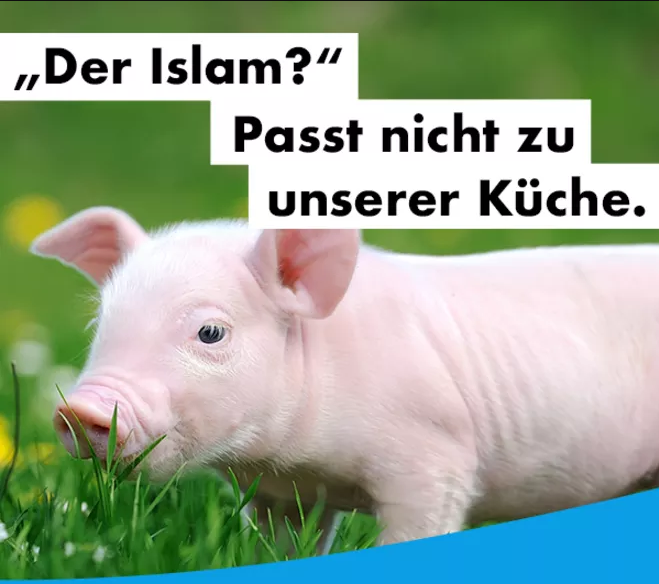 AfD campaign poster