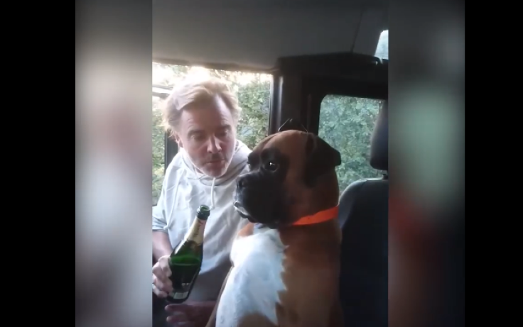 Drunk man and dog