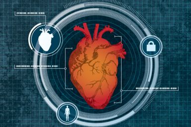 Heart scan biometrics