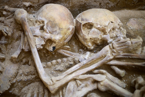 Sican human sacrifice skeletons grave Peru