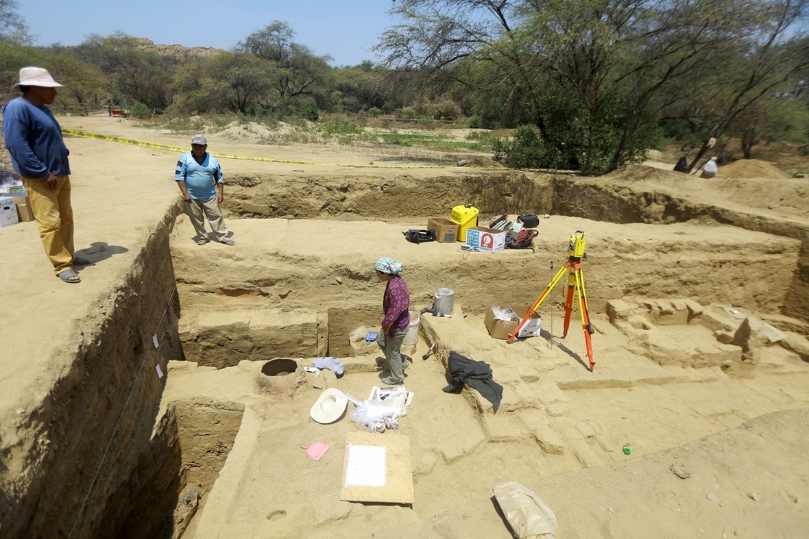 Sican human sacrifice skeletons grave Peru