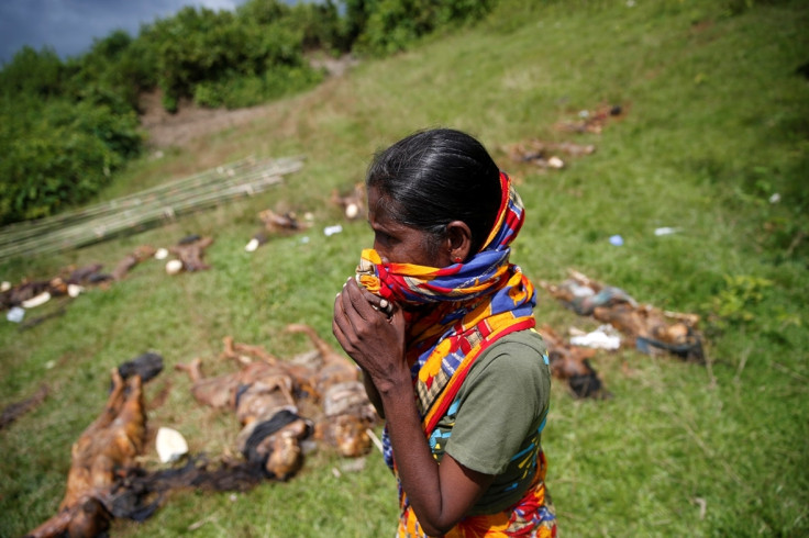 Rohingya Muslim Buddhist Myanmar Bangladesh