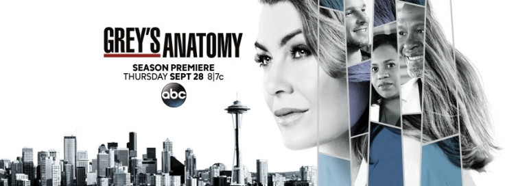 Grey’s Anatomy season 14