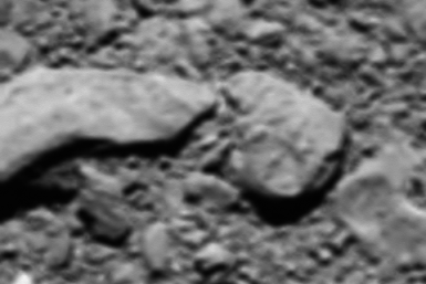 Rosetta final image