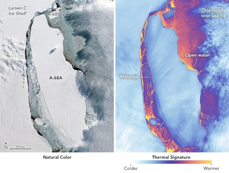 Larsen C