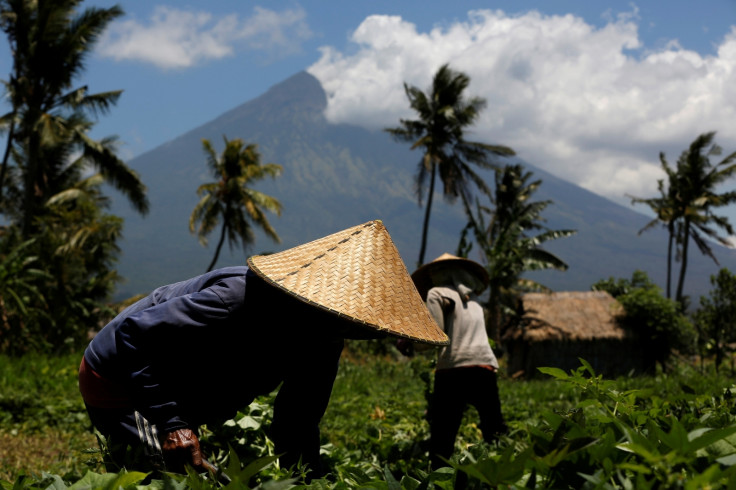 Mount Agung