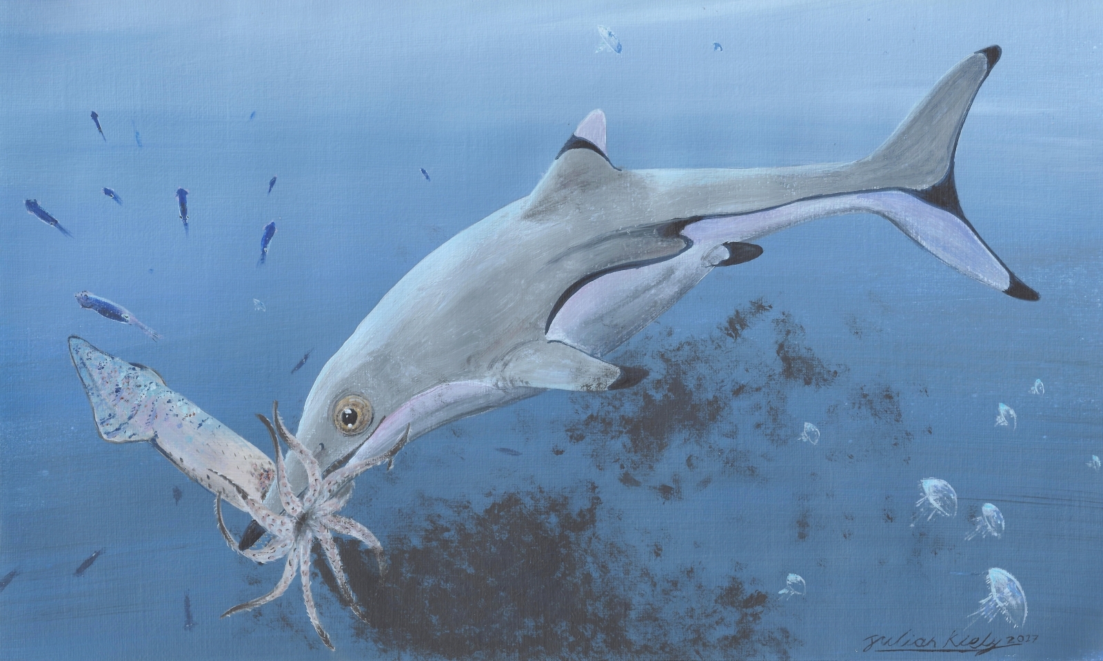Download 200-million-year-old baby ichthyosaur found with prehistoric squid still whole in its stomach