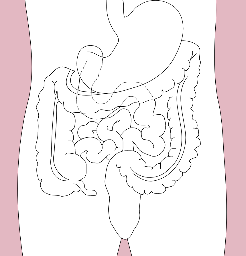 Seven body organs you can live without
