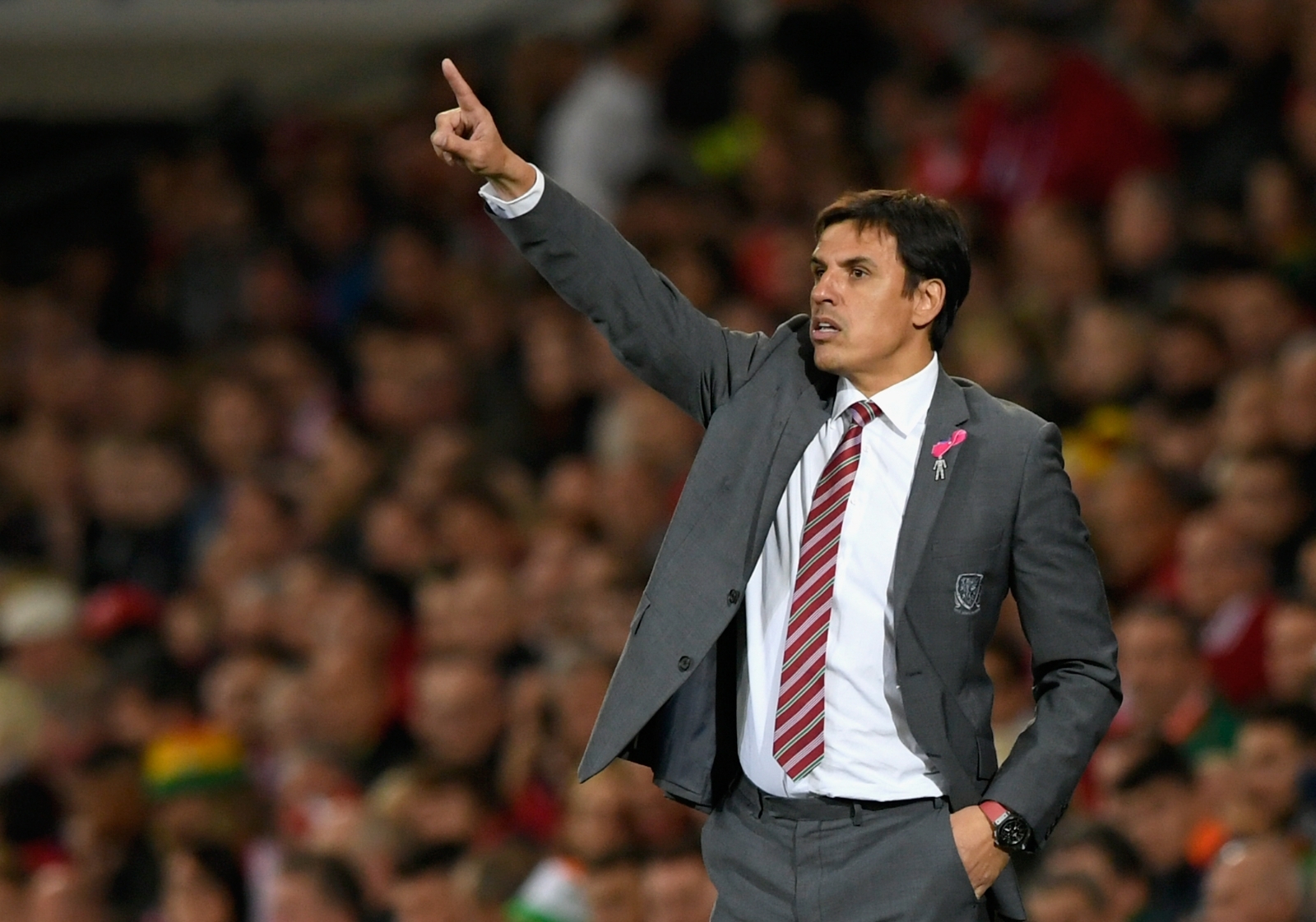 Wales manager Chris Coleman coy on future after World Cup heartbreak