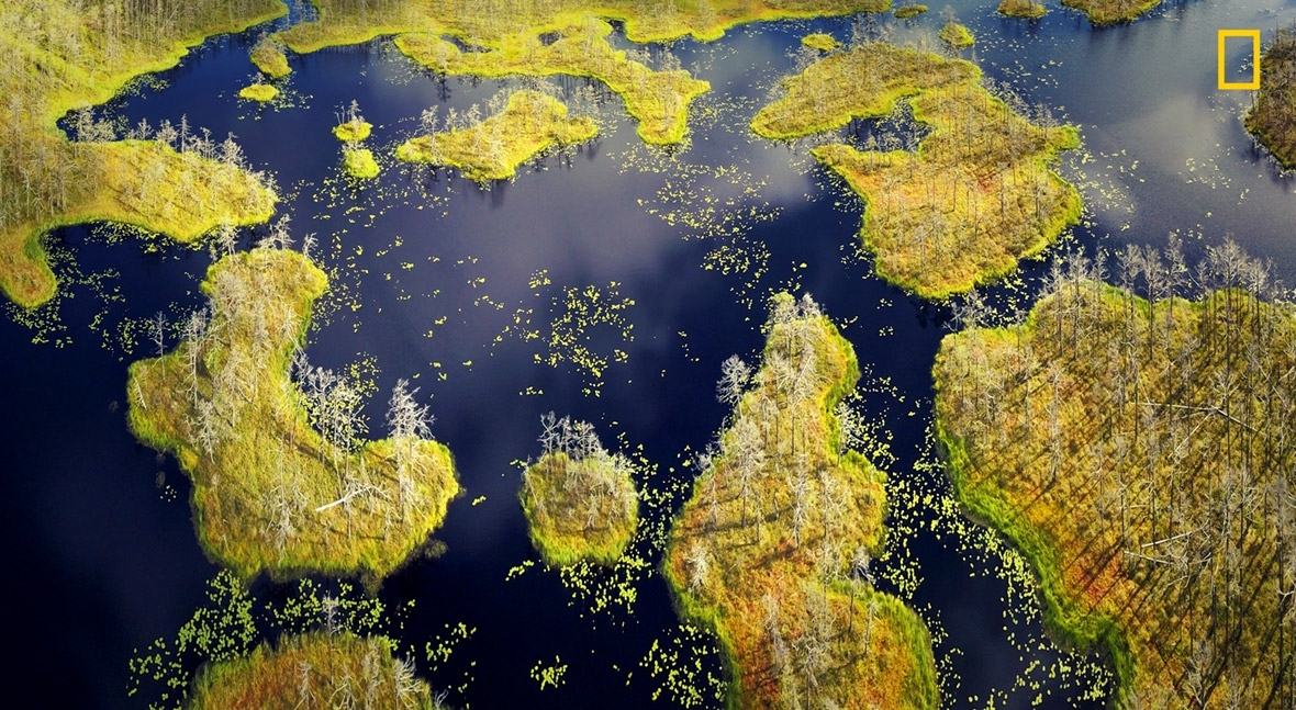 National Geographic 2017 Nature Photographer of the Year contest early