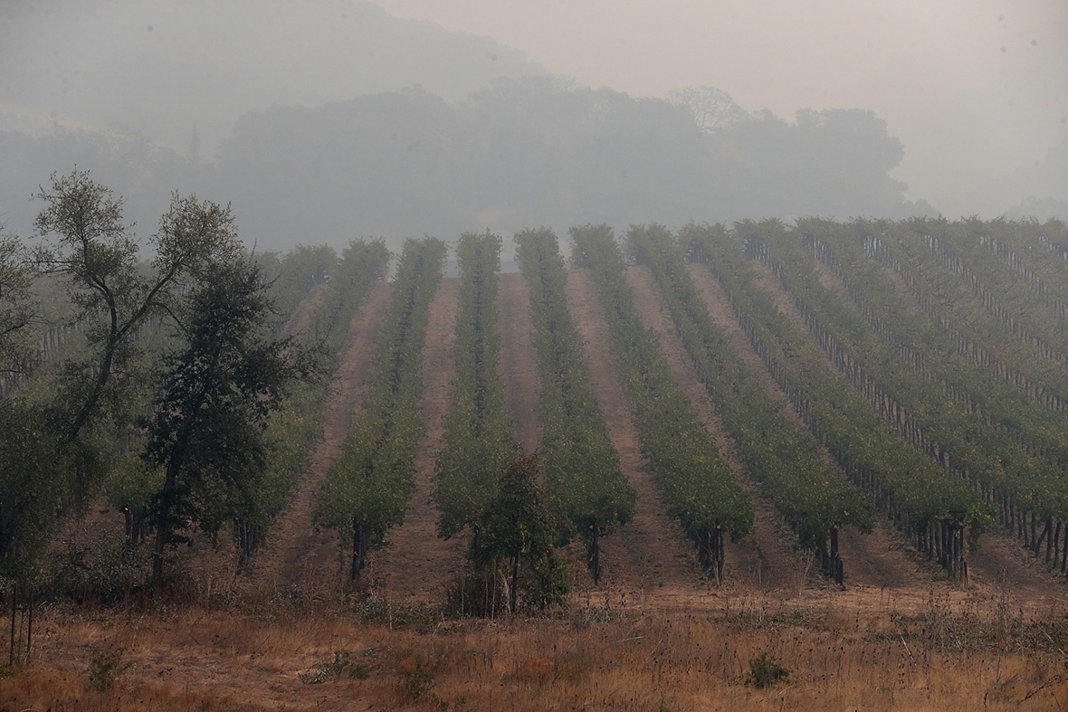 California wine wildfires smoke