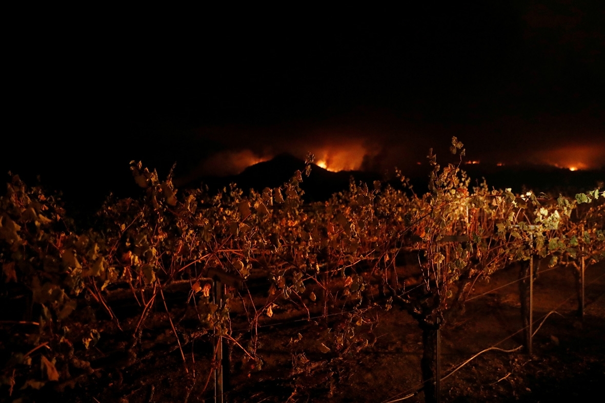 California wine wildfires smoke