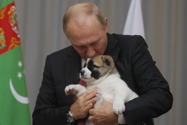 Putin kissing puppy dog