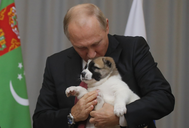 Putin kissing puppy dog