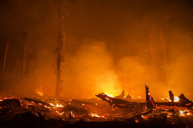 Fires