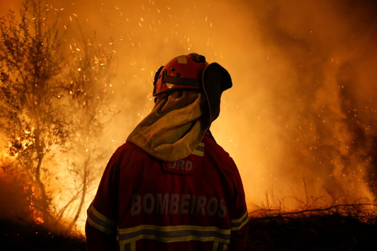 Portugal wildfires