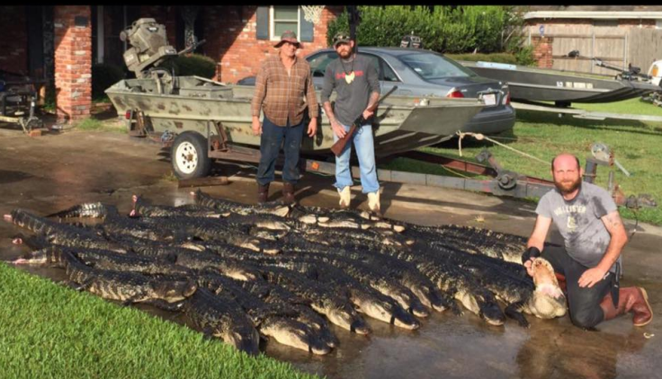 Alligator hunter Charlie LeDoux