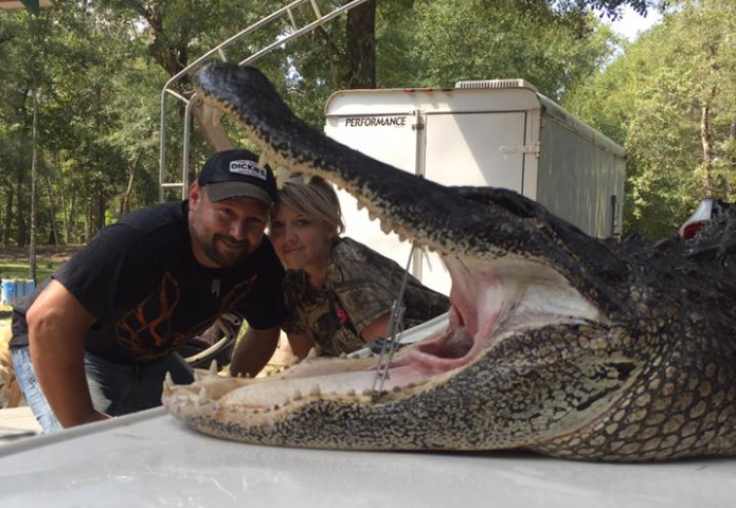 Alligator hunter Charlie LeDoux