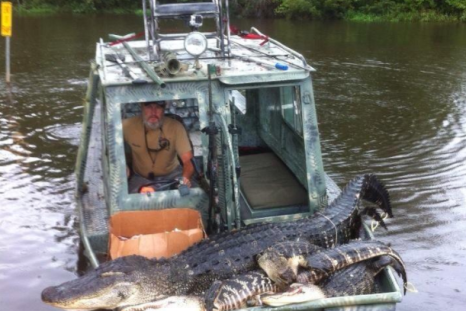 Alligator Man Louisiana