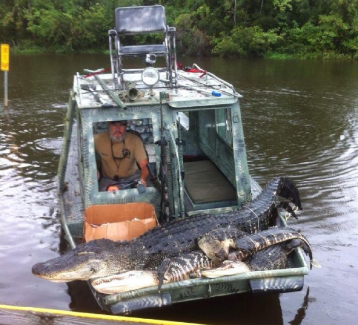 Alligator Man Louisiana