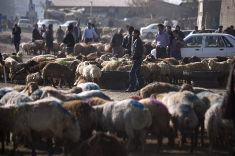 Exposure to goats linked to rare lung cancer