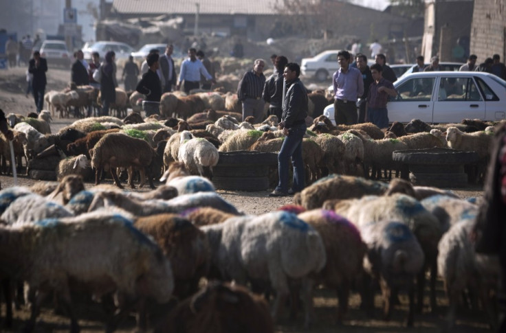 Exposure to goats linked to rare lung cancer