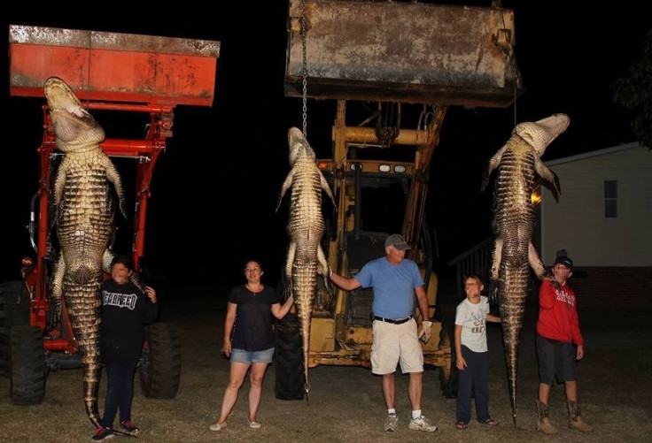 Kids dead alligator hunting