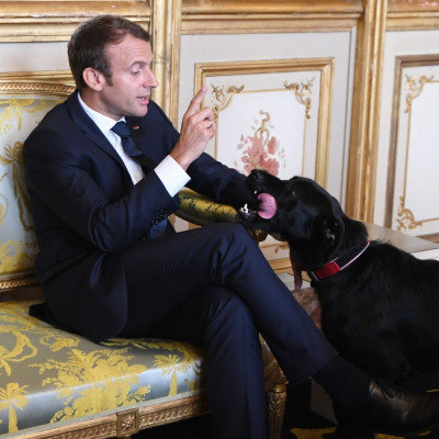 Emmanuel Macron, Nemo 