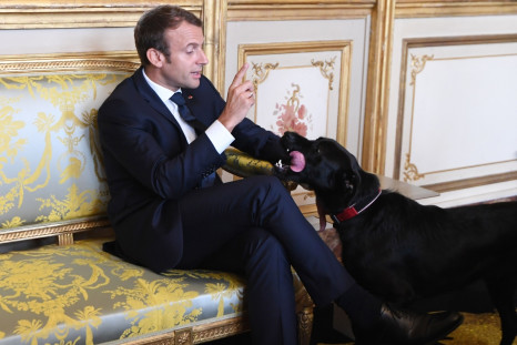 Emmanuel Macron, Nemo 