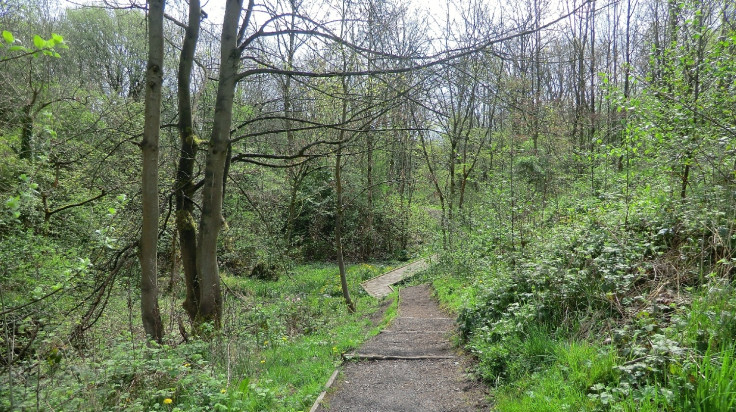 broadhurst clough