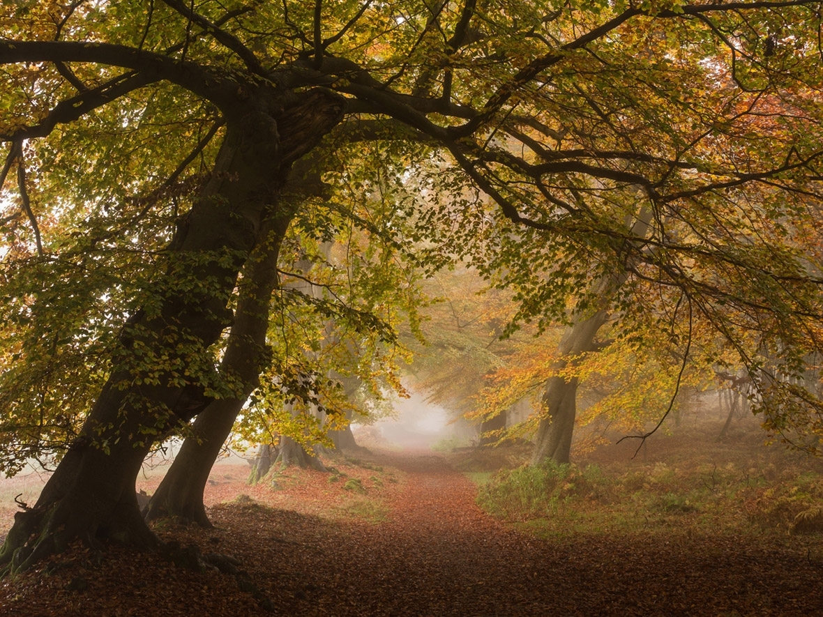 Landscape Photographer of the Year 2017