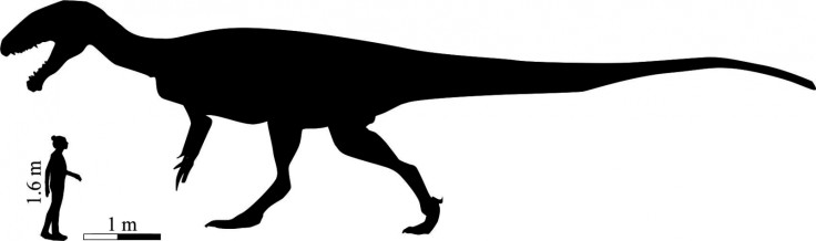 Silhouette of Kayentapus ambrokholohali