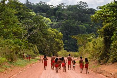 Waiapi tribe Amazon brazil