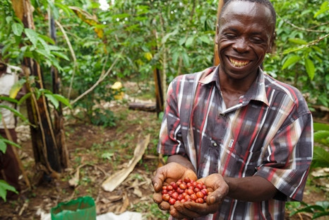 Coffee farmers in Uganda