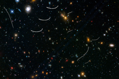 Asteroids photobombing galaxies