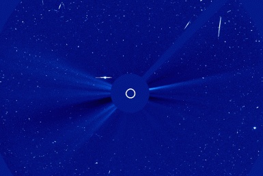 SOHO comet 96P observation