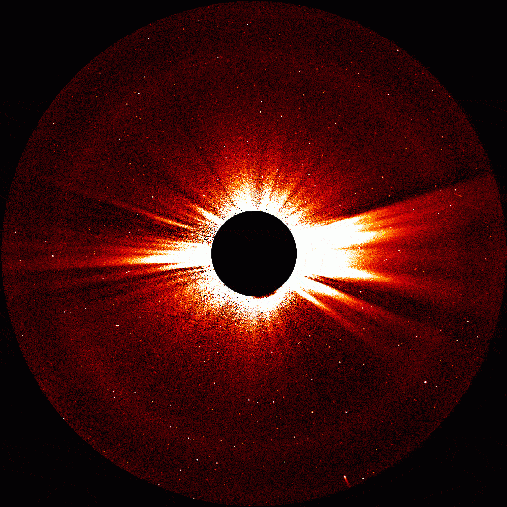 Comet 96P STEREO view