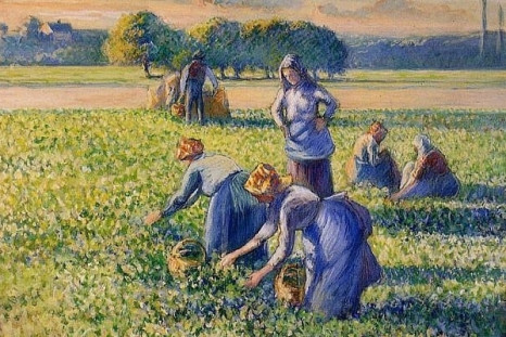 Camille Pissarro’s ‘La Cueillette des Pois’ (Picking Peas) which a French court has ordered returned to the Jewish family from which it was taken during World War II