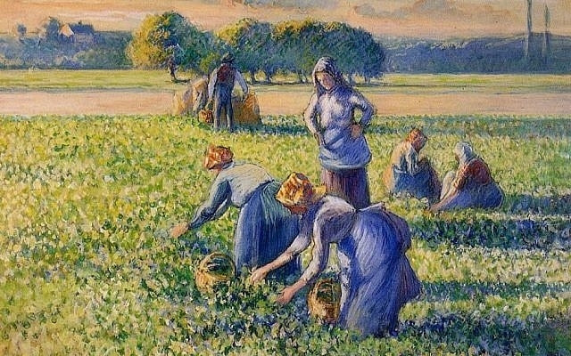 Camille Pissarro’s ‘La Cueillette des Pois’ (Picking Peas) which a French court has ordered returned to the Jewish family from which it was taken during World War II Camille Pissarro’s ‘La Cueillette des Pois’ (Picking Peas) which a French court has ordered returned to the Jewish family from which it was taken during World War II