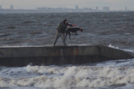 Man throws greyhound into sea