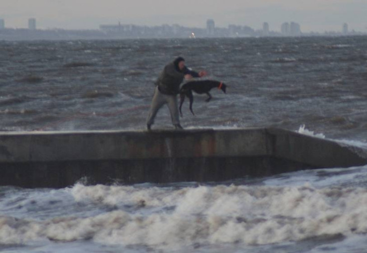 Man throws greyhound into sea