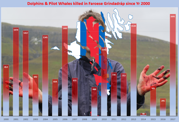 Dolphin and whale killings in the Faroes