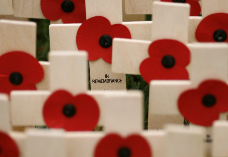 Crosses and remembrance day poppies 